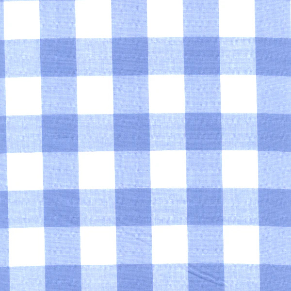 20 YD Bolt-Blue 1 Inch Gingham Fabric