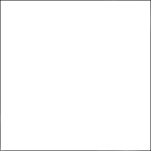 20 YD Bolt-White Broadcloth Fabric