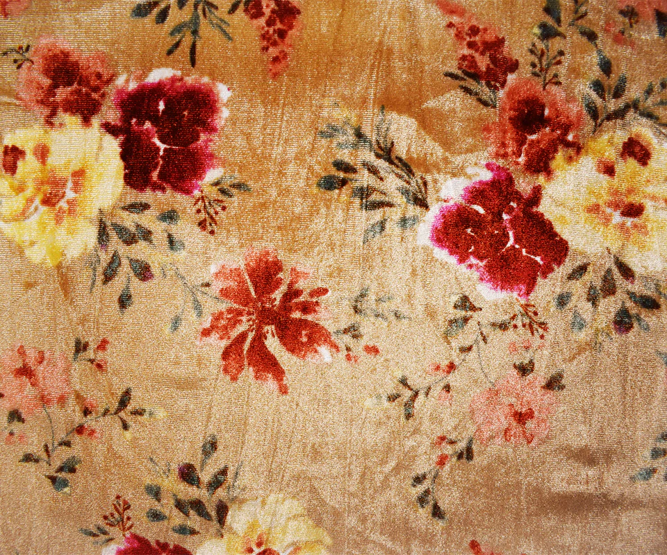 Beige-Red-Multi Poly Stretch Floral Printed Velvet Knit Fabric - Image 3