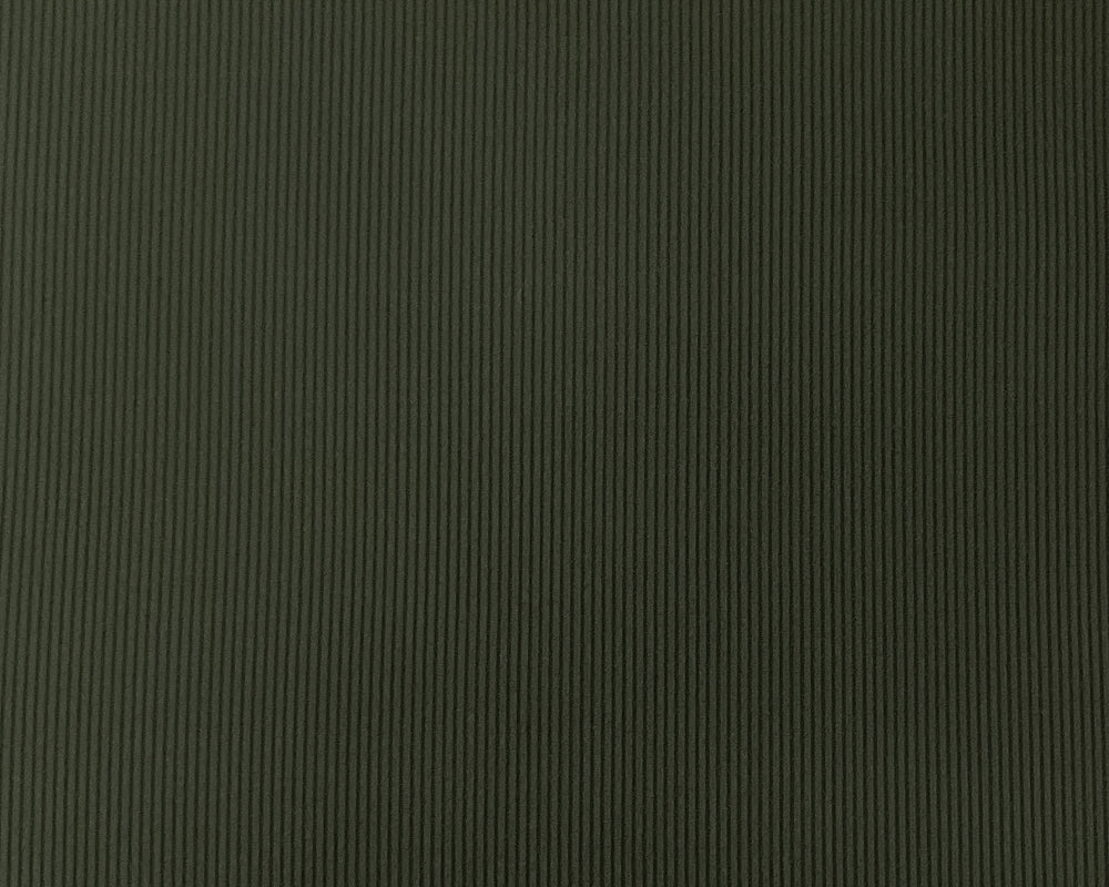 Green Nylon Spandex Stretch 2x2 Rib Knit Famous Maker Fabric - Image 3
