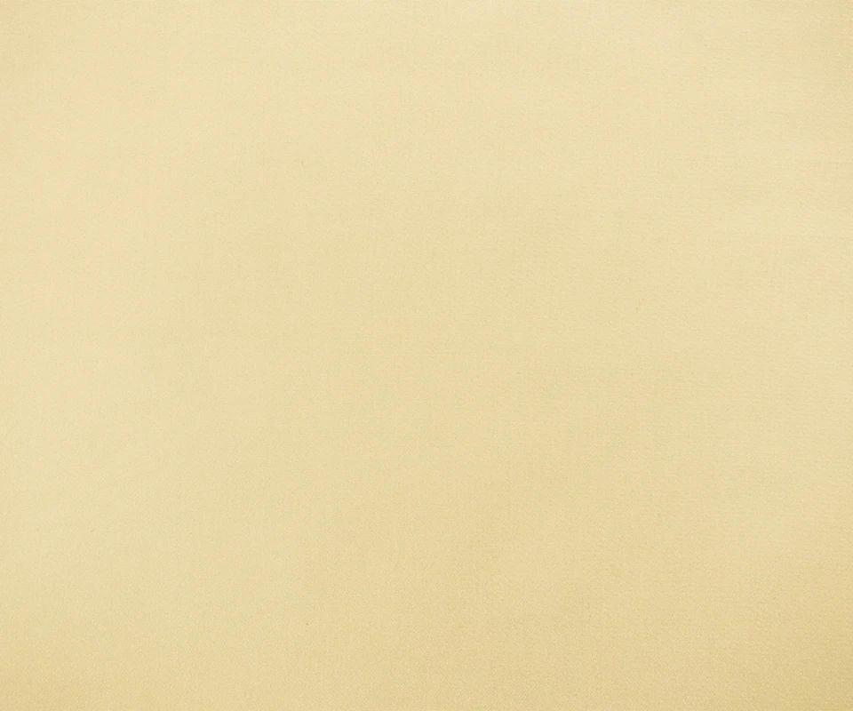 Light Beige Famous Designer Silk Crepe De Chine Woven Fabric - Image 4