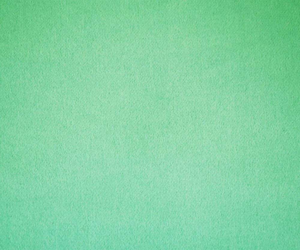 Mint Green Melton Wool-Poly Blend Solid Brush Double Woven Fabric - Image 4