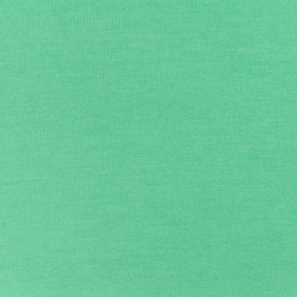 Mint Green Solid Stretch Spandex Bamboo Jersey Knit Fabric - Image 4