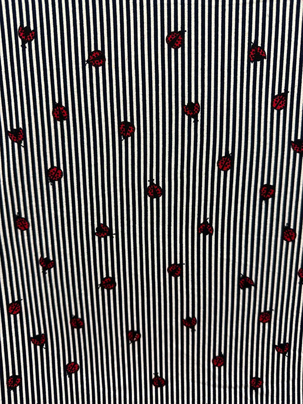 Navy Blue Stripe Ladybug Print Double Brushed Jersey Knit Fabric - Image 2