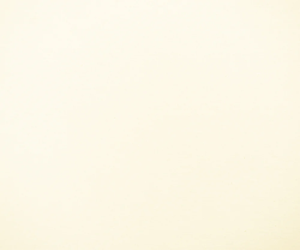 Off White Solid Cotton Spandex Knit Fabric - 10 oz - Reorderable - Image 3