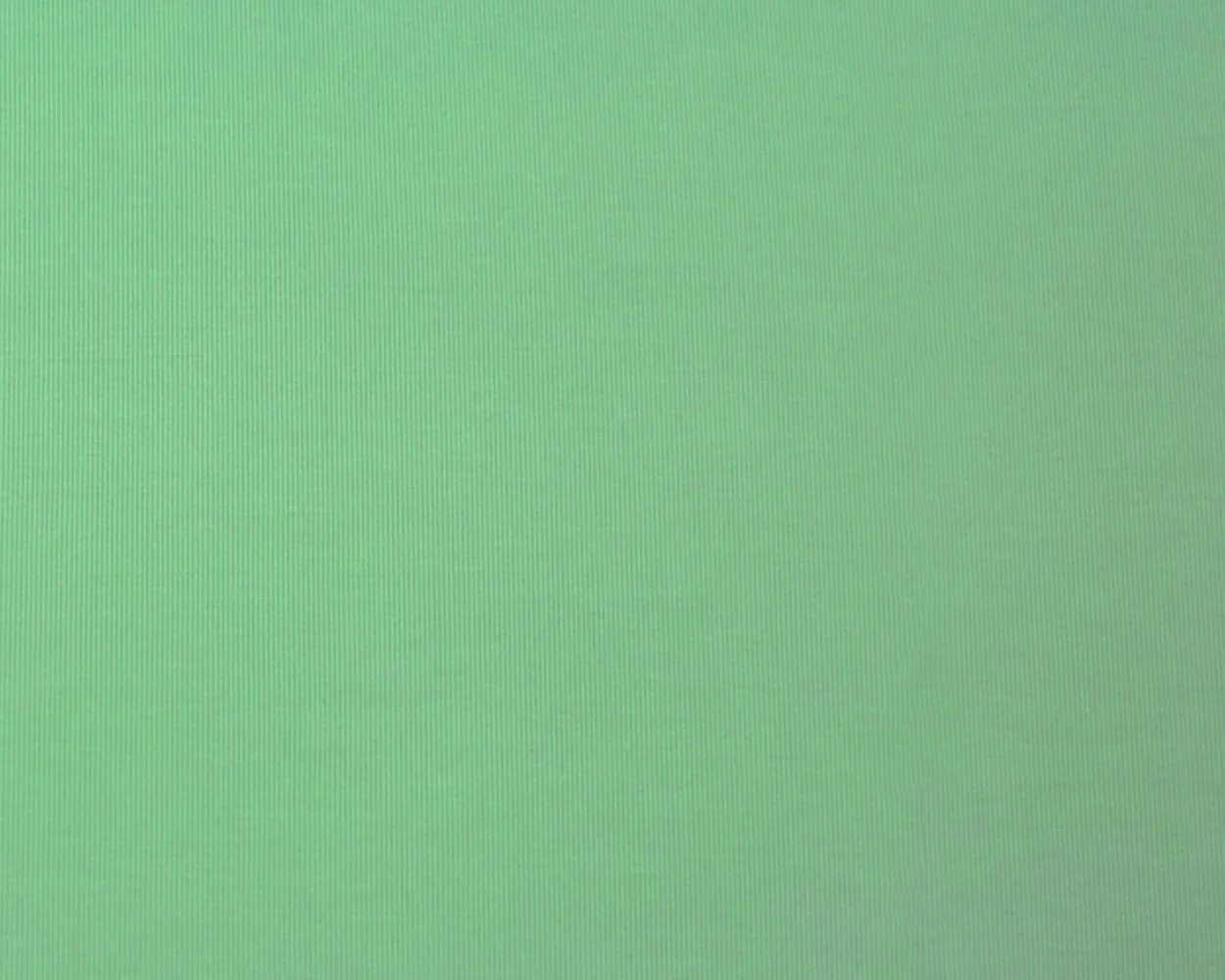 Pastel Green Bamboo Stretch Spandex Solid Jersey Knit Fabric - Image 3