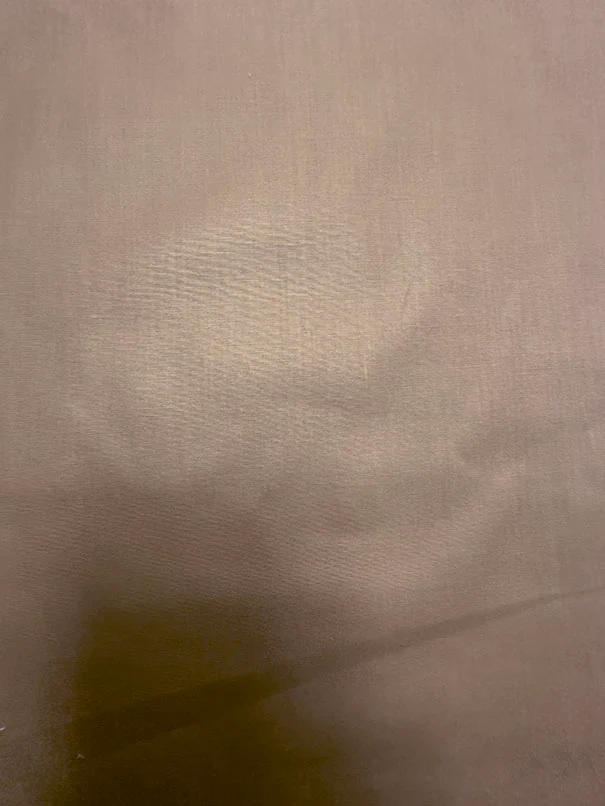 Peanut Sunkiss Chintz Fabric - Image 2