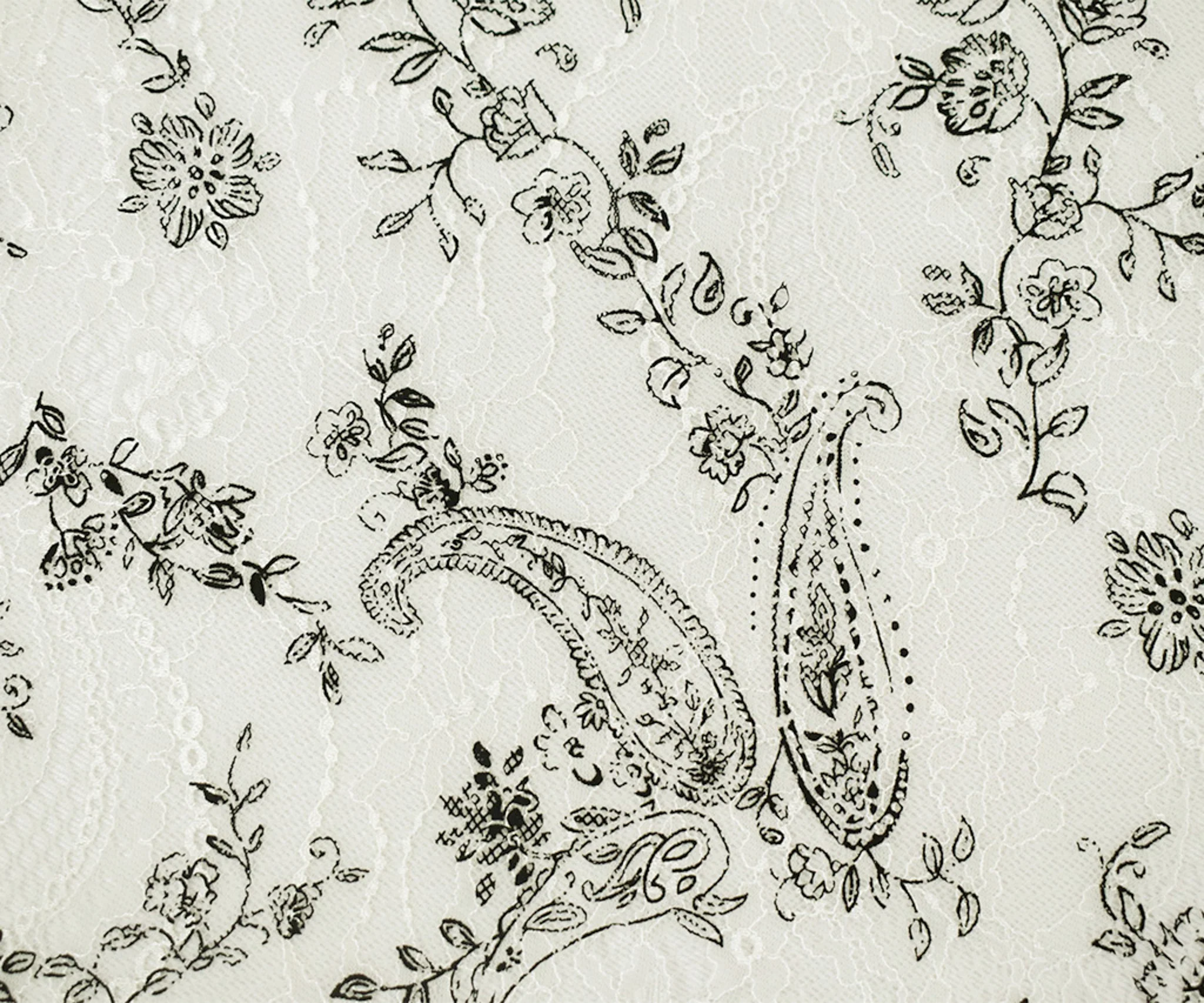 White-Black Nylon Floral Paisley Printed Lace Mesh Knit Fabric - Image 4