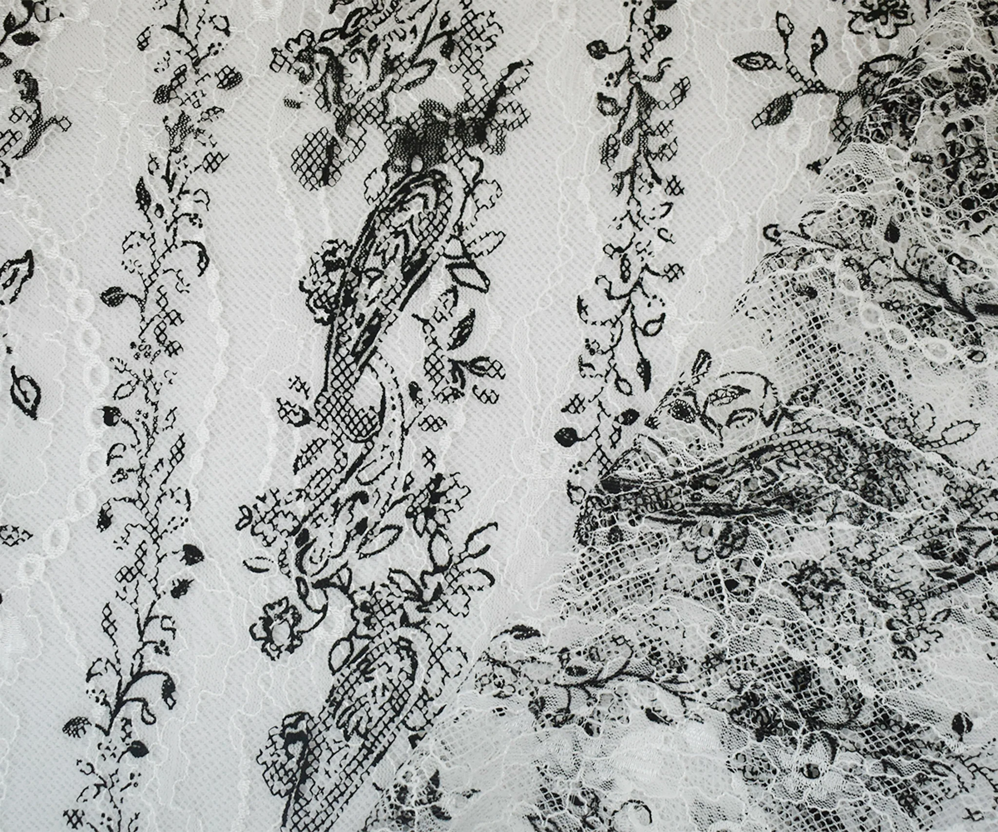 White-Black Nylon Floral Paisley Printed Lace Mesh Knit Fabric - Image 3