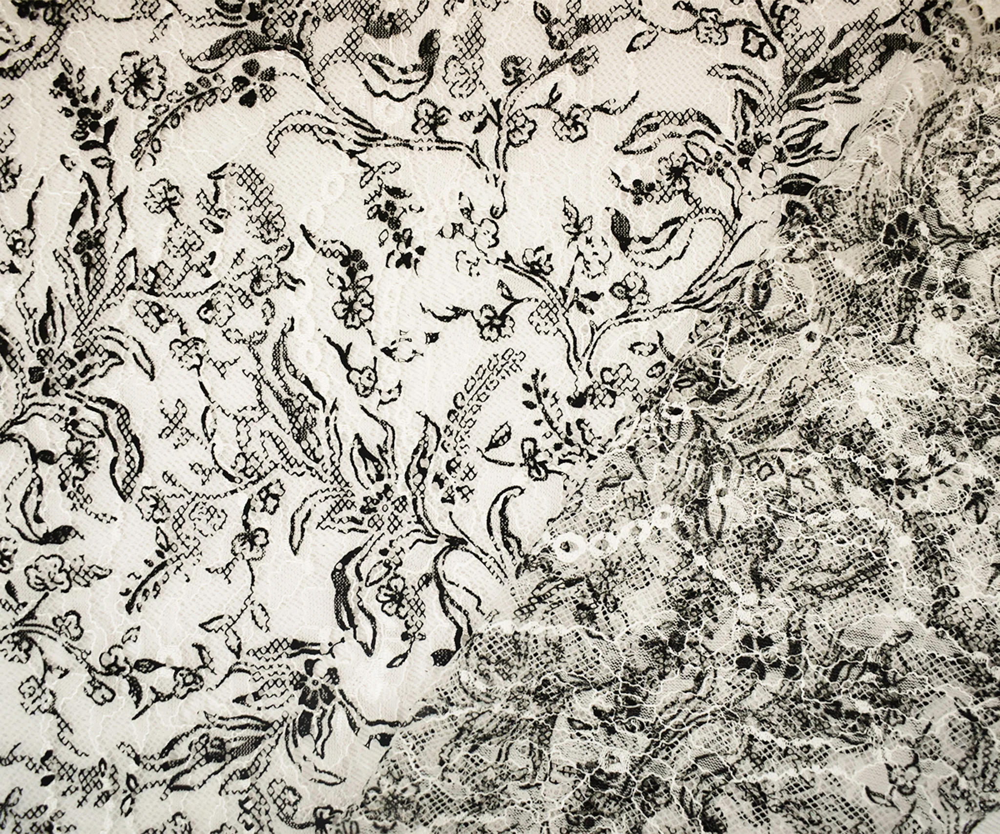 White-Black Nylon Floral Vine Printed Lace Mesh Knit Fabric - Image 2